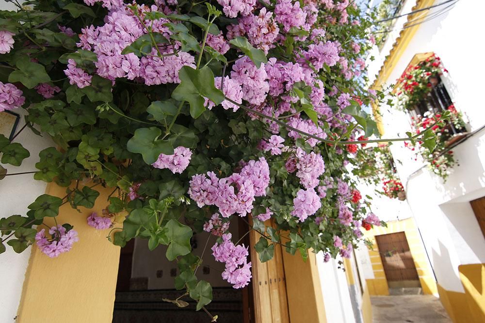 Premios rejas y balcones