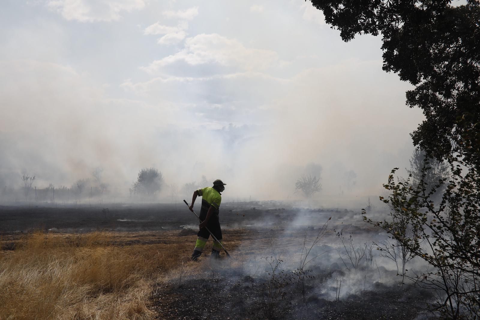 Imágenes del fuego declarado en Lober de Aliste, Zamora