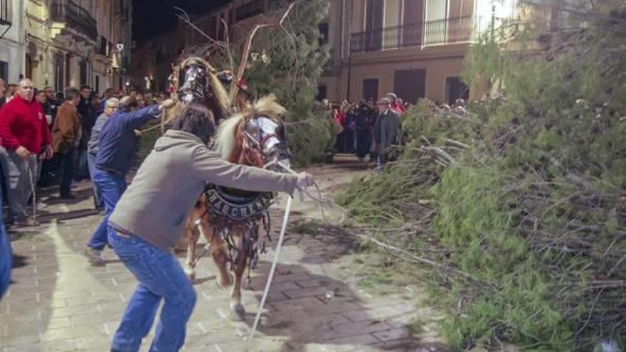 la fiesta se desata en canals con la entrà de la primera soca, que marca el inicio del montaje de la Foguera de Sant Antoni. A partir de la medianoche, comenzaron a llegar a la plaza Mayor los primeros troncos. Una multitudinaria cena popular en el pabellón (derecha) precedió el tradicional acto. f ximo pérez