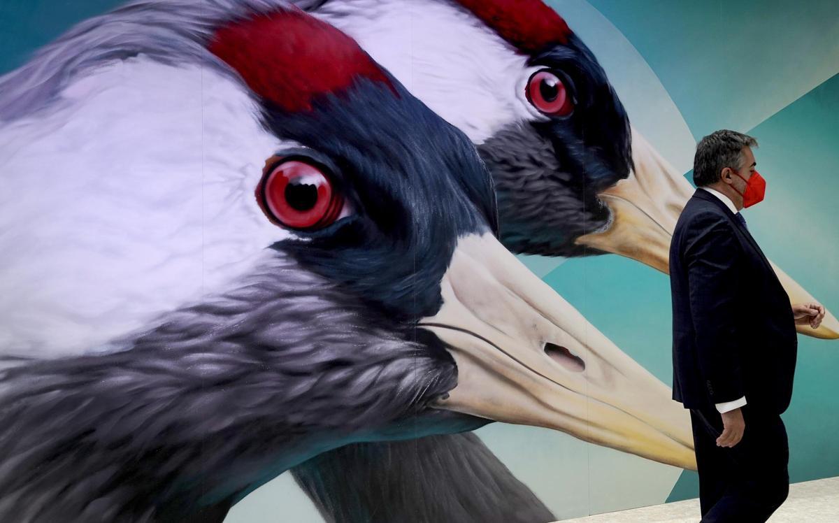 Los Reyes inauguran Fitur. Los Reyes inauguran Fitur.