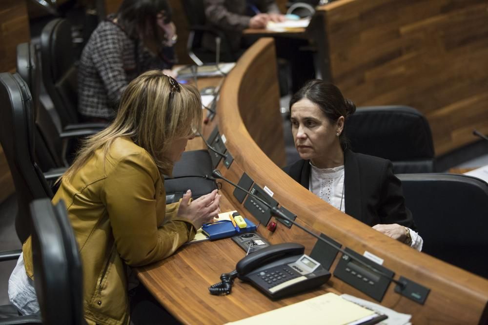 Pleno en la Junta General del Principado de Asturias