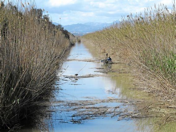 Albufera