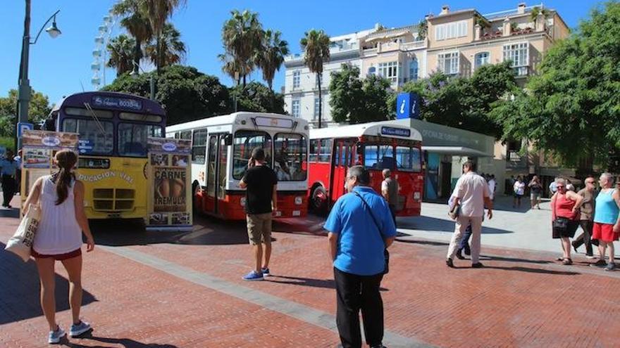 Algunos de los autobuses antiguos expuestos en la plaza de la Marina y que forman parte de la exposición La movilidad es cosa de todos.