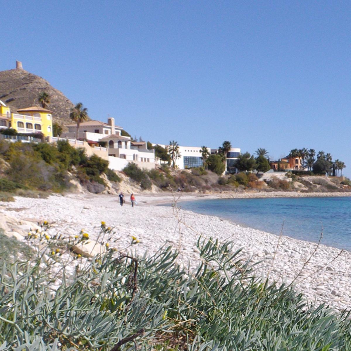 Las mejores playas para perros en la provincia de Alicante