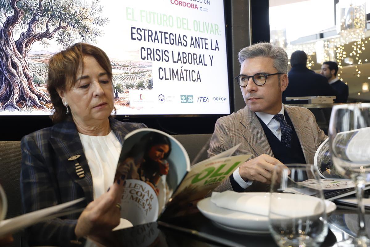 Radiografía del sector oleícola en Córdoba, en imágenes