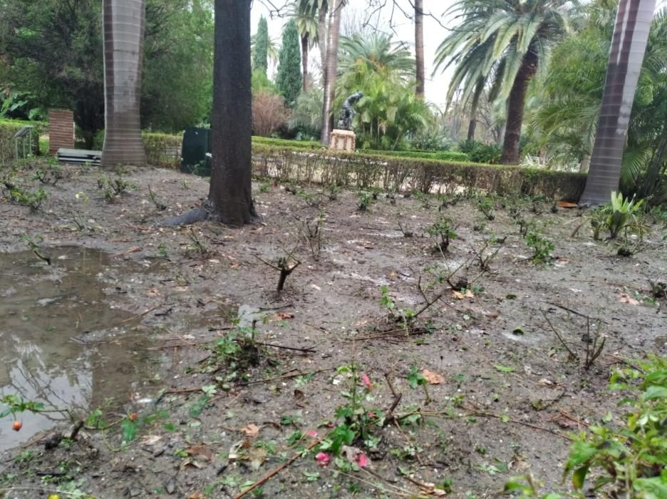 Daños en el Parque de la granizada.