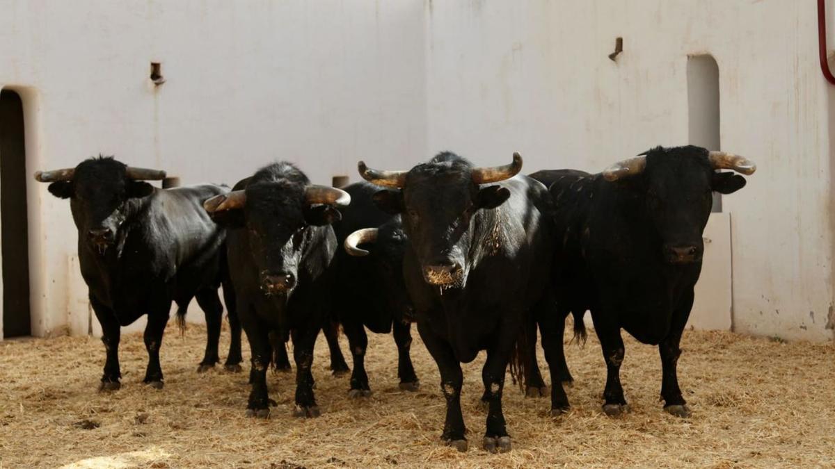 Los rejones abren la mejor feria de los últimos años