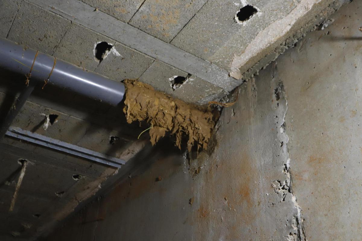 Restos de lodo en las tuberías del sótano a más de tres metros de altura.