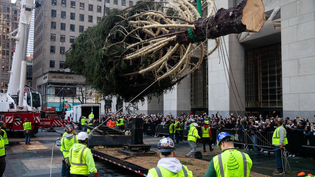 Se iza el famoso árbol de Navidad del Rockefeller Center de Nueva York