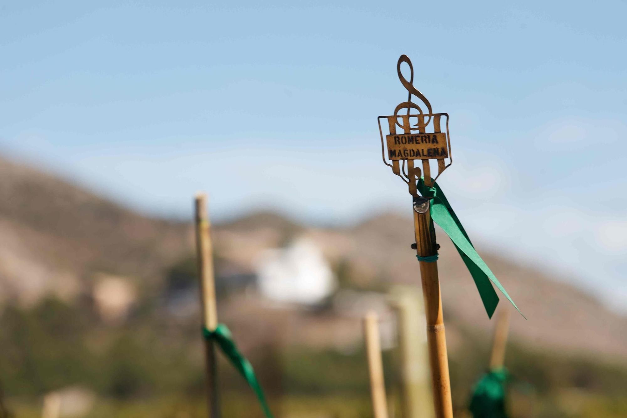 Los castellonenses rememoran sus orígenes con la Romeria