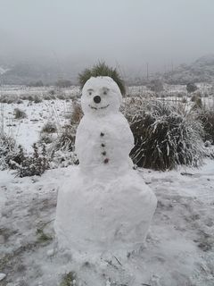 Las fotos de la nieve en Mallorca de nuestros lectores