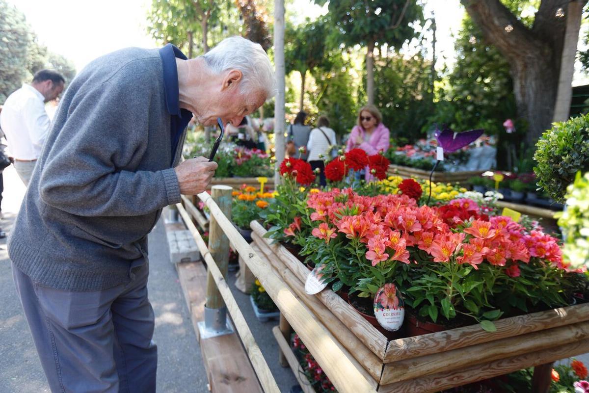 En imágenes | Presentación del Zaragoza Florece en el Parque Grande José Antonio Labordeta