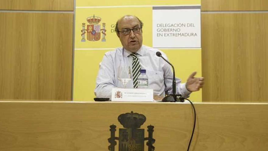 Extremadura contará en 2014 con una nueva norma que regulará el &quot;rebusco&quot;