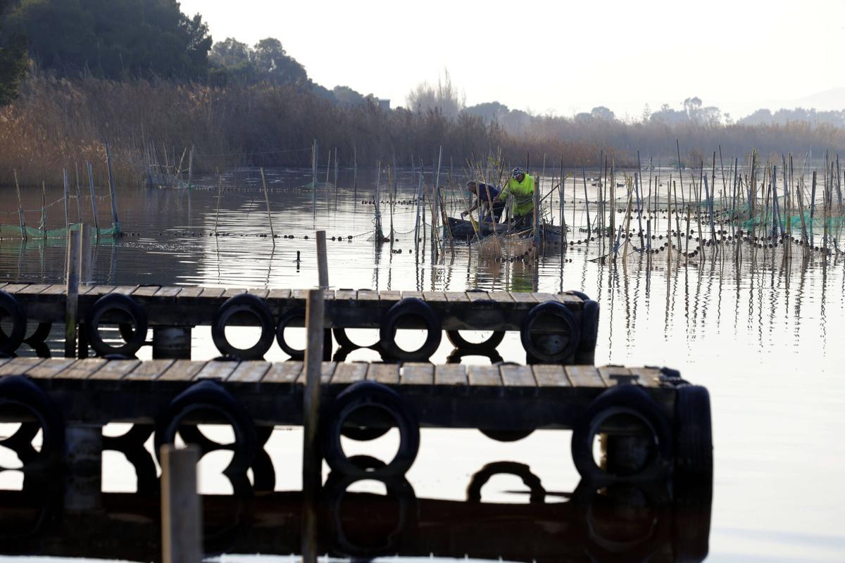 Valencia. L´Albufera a la altura de la Gola de Pujol . El color y la calidad del agua del lago mejoran con el frio del invierno . Pescadores Parque Natural VLC. PARQUE NATURAL DE L'ALBUFERA