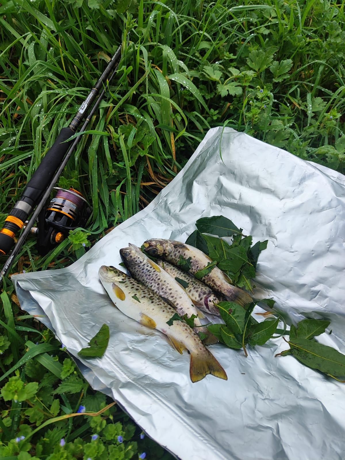 La temporada de pesca continental ha comenzado, pero solo para la trucha, ya que el salmón y el reo esperarán al 1 de mayo.