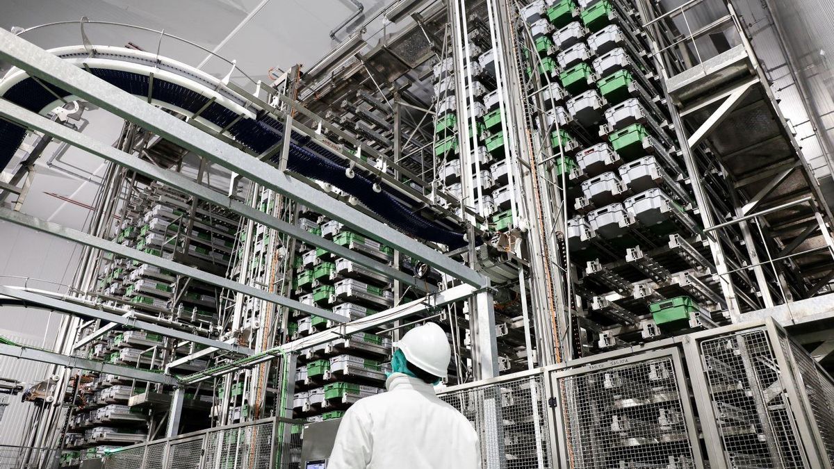 Imagen de una fábrica del sector agroalimentario