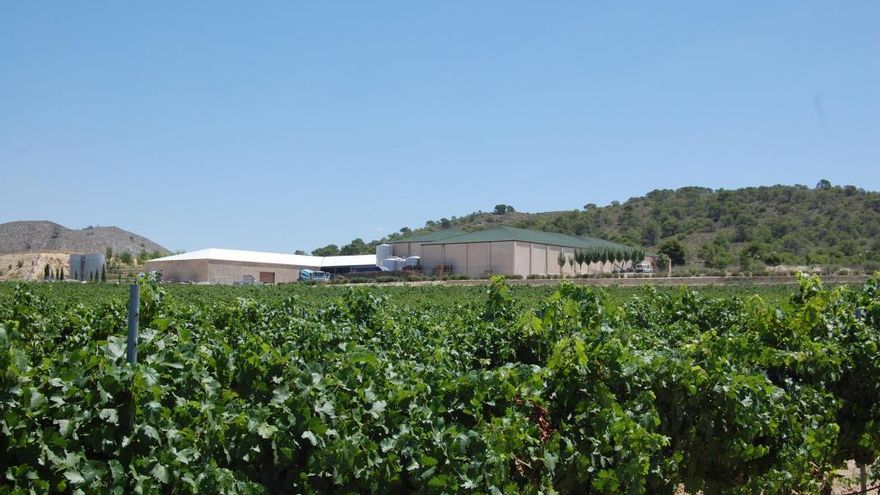 Instalaciones de las Bodegas Juan Gil