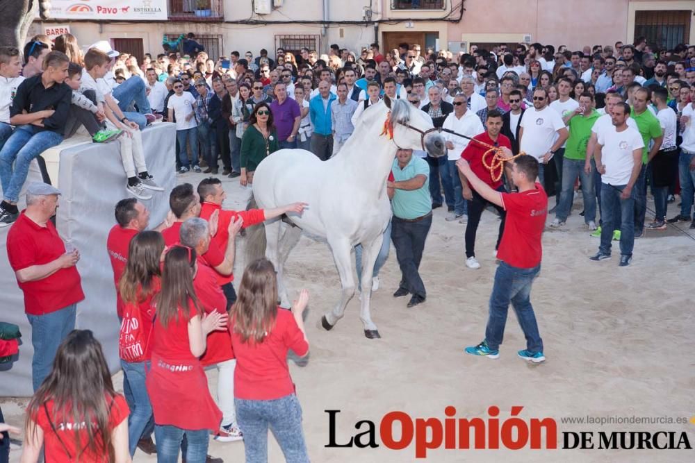 Día uno de mayo, entrada de caballos al Hoyo