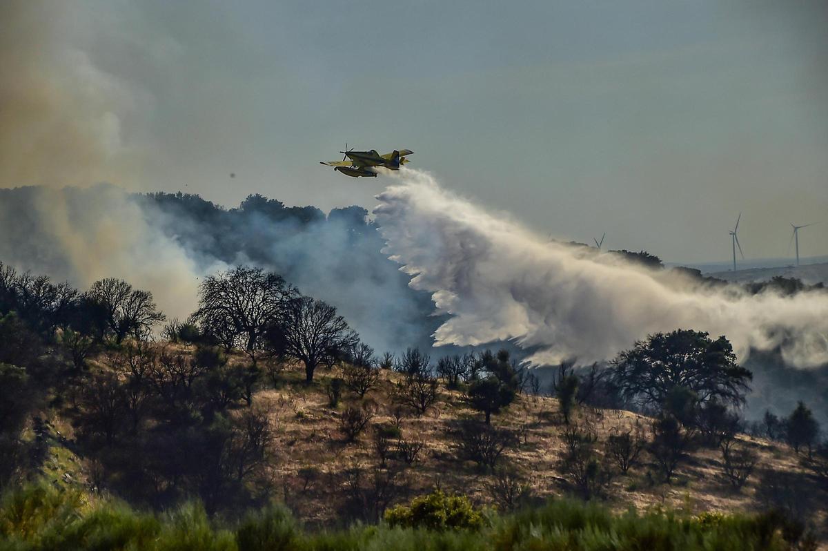 Fotogalería | Imágenes del incendio forestal en Plasencia de este jueves Fotogalería | Imágenes del incendio forestal en Plasencia de este jueves