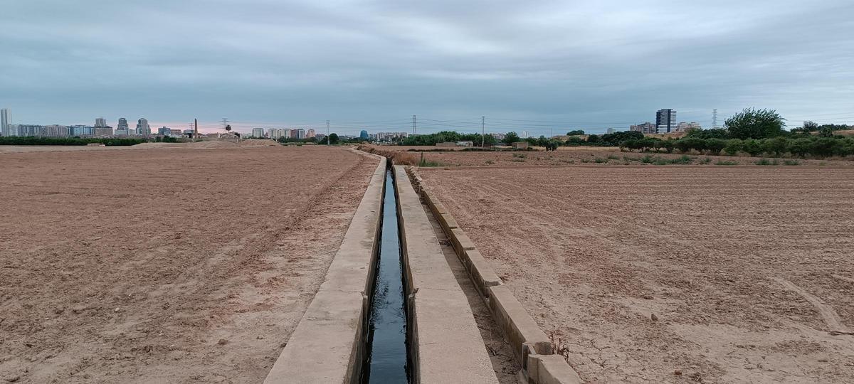 Fila de Campanar. Séquia de Tormos.