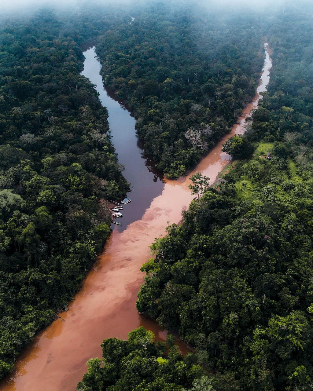 Treehouse Lodge, en la confluencia de los ríos Yarapa y Cumaceba