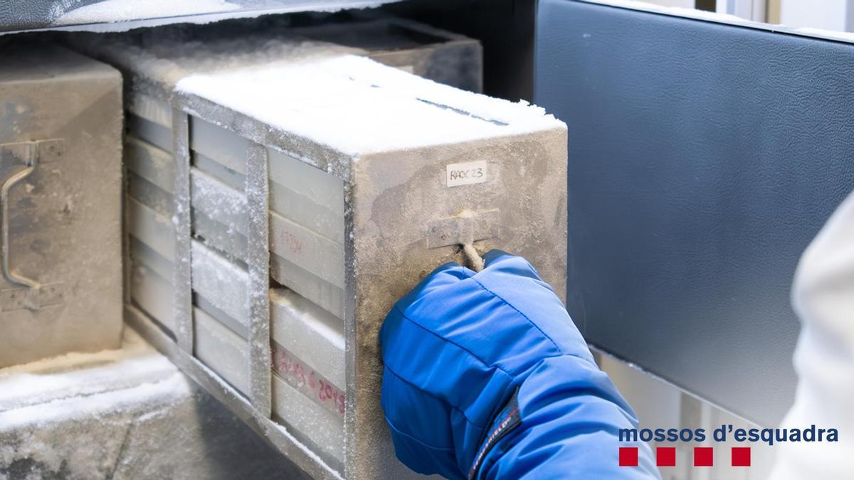 Imagen del laboratorio de la unidad de genética forense de Mossos