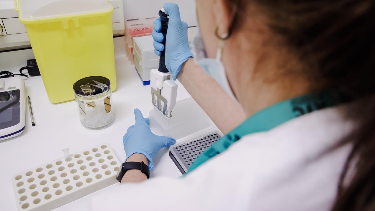Archivo - Una técnico de laboratorio prepara una PCR para el análisis de la viruela del mono en una imagen de archivo