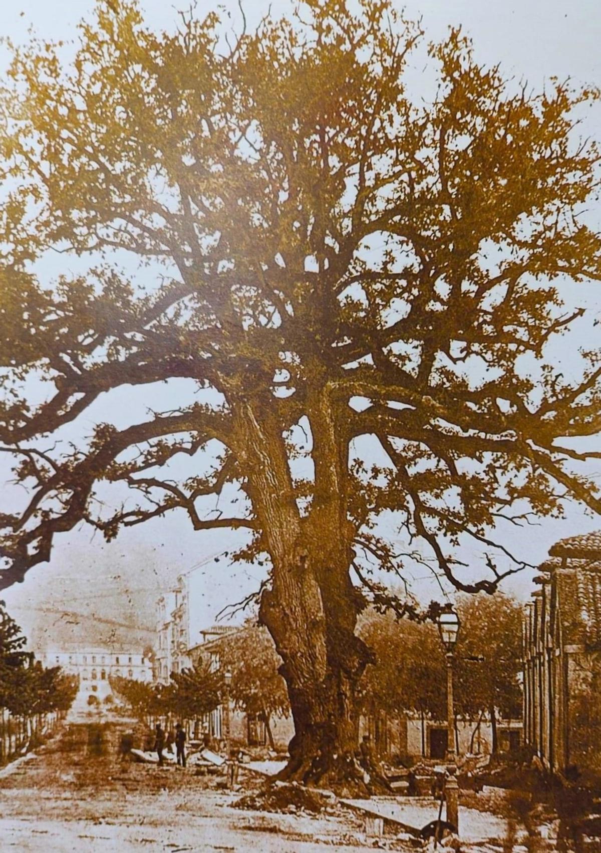 Foto del Carbayón de 1879, de los hermanos Ramón y Fernando del Fresno Cueli.