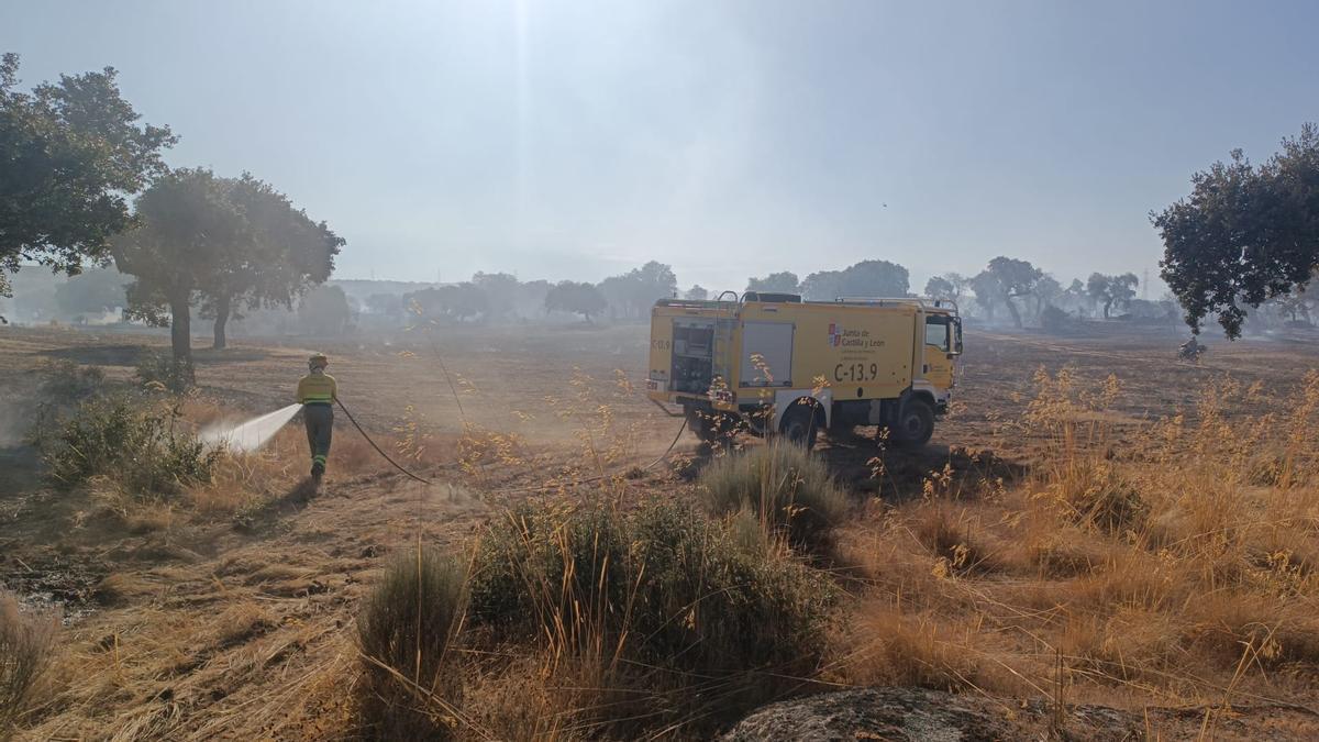 Medios del operativo trabajan en la extinción de un incendio en la provincia de Zamora.