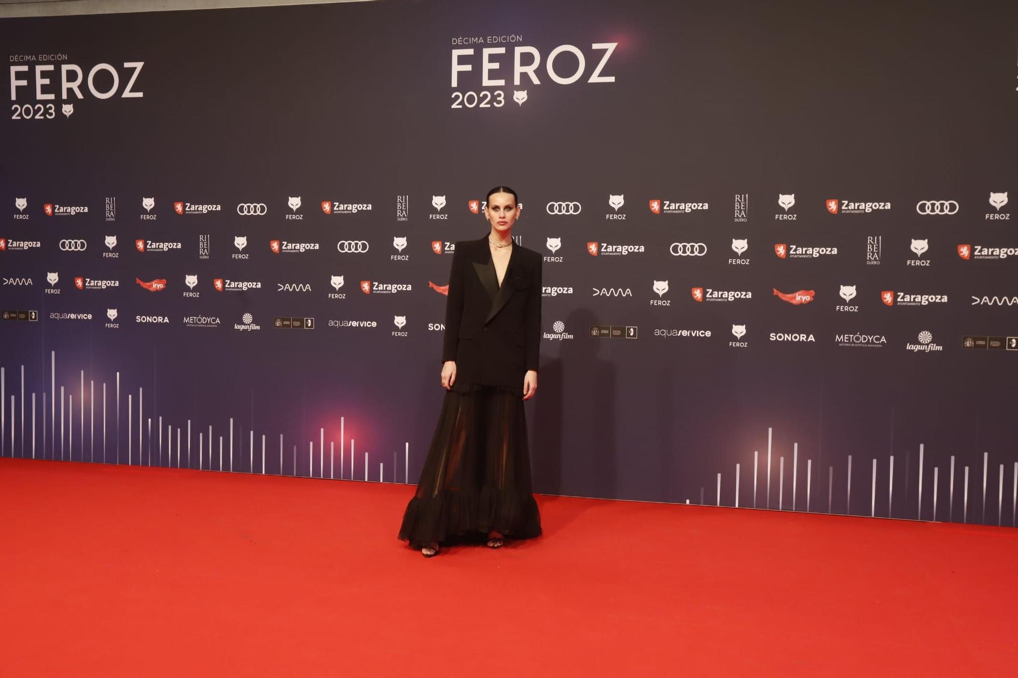 Alfombra roja de los premios Feroz