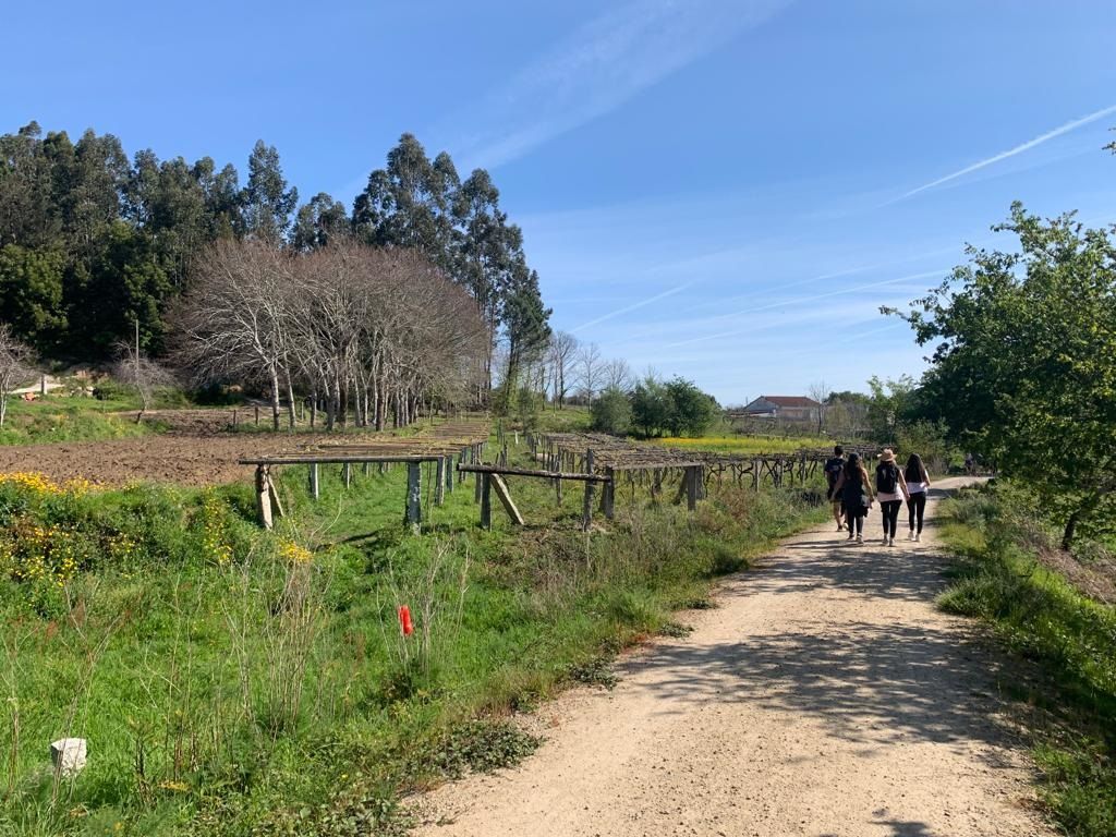 De caminata por la Vía Verde de O Salnés