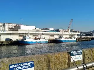 La CE evita poner fecha al fin de la pesca de fondo en 94 áreas y presume de tramitación