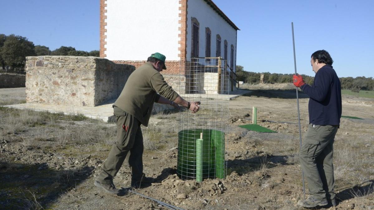 Fundación Prode ofrece 16 contratos en alternancia para peón forestal en Pozoblanco.