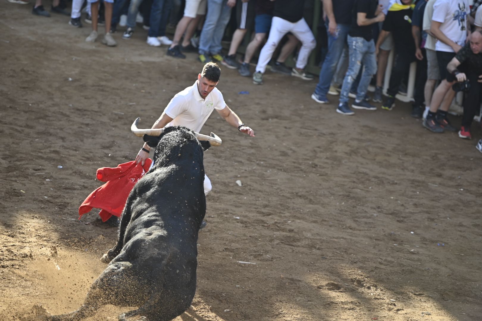 Galería | Primera tarde de toros en Almassora