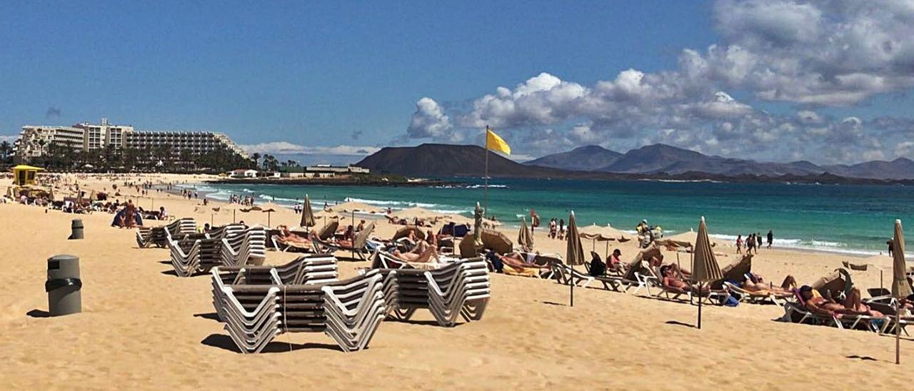 Imagen de una de las zonas de hamacas en las Grandes Playas de Corralejo. | | FUSELLI