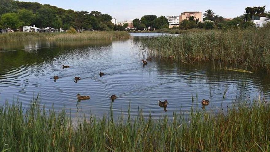 Una imatge de l&#039;estany de Poma, a l&#039;Escala.