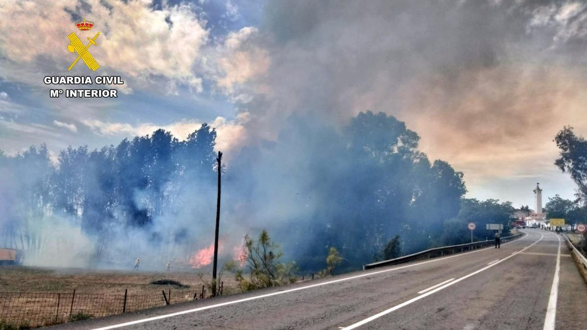 Incendio forestal de Brovales, imagen de archivo.