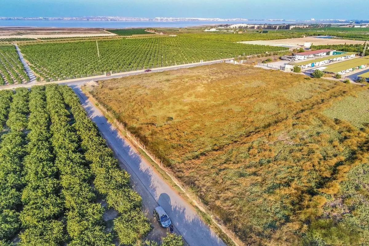 Suelos en las proximidades de la zona prevista para la planta solar. Al fonldo la laguna de Torrevieja