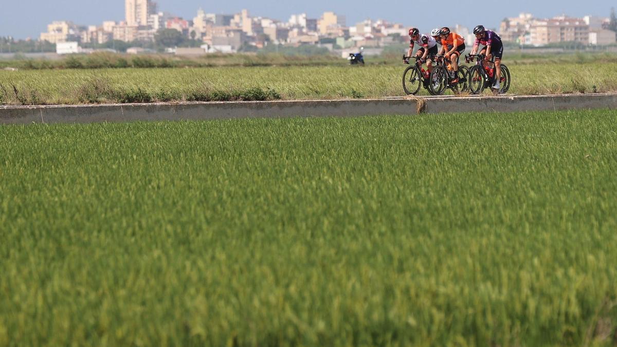 Ciclistas en una etapa de la Vuelta a España 2021.