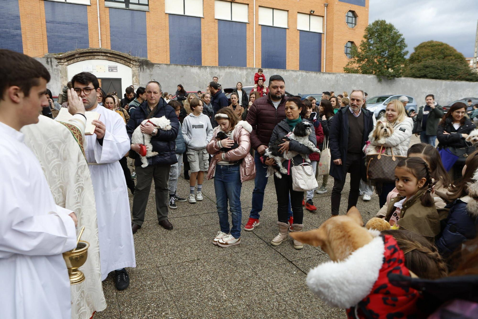 Bendición mascotas en Gijón en la parroquia de Viesques