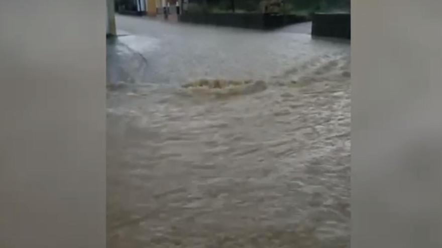 VÍDEO | Pueblos que parecen ríos en Zamora