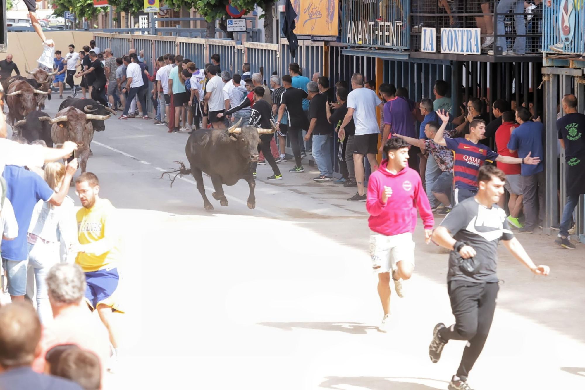 Las imágenes de la séptima jornada de las fiestas de Sant Pasqual del 2023 en Vila-real