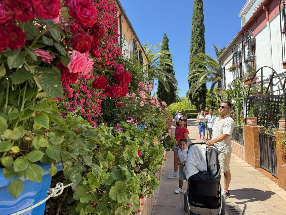 victor Córdoba concurso rejas y balcones premios Primer premio calle manuel soro tinte 3