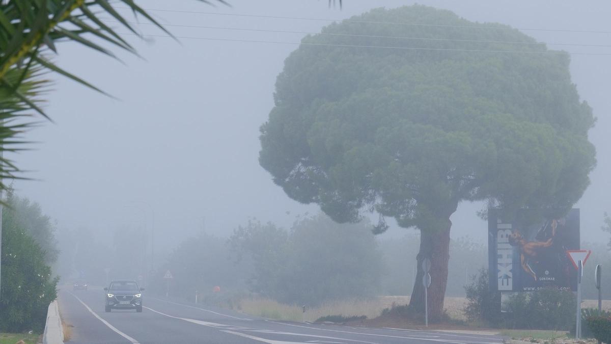 Niebla densa en la carretera de Sóller a la altura de Palmanyola, en el municipio de Bunyola