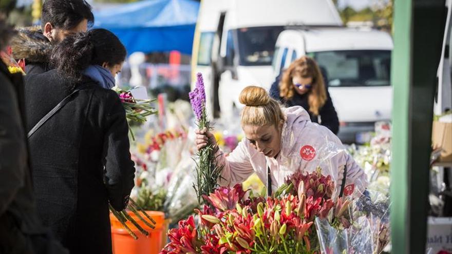 Más de 70.000 zaragozanos pasan por el cementerio en un solo día