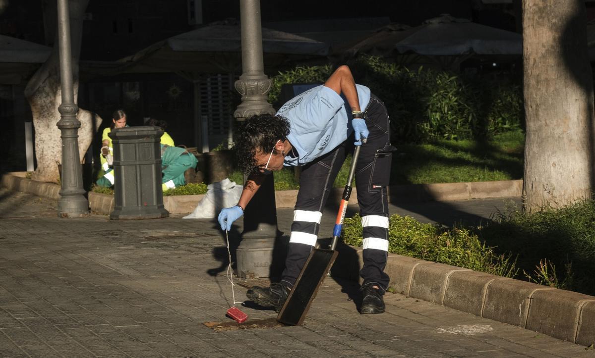 Trabajos de desratización en la zona del parque de Santa Catalina, en Las Palmas de Gran Canaria Trabajos de desratización en la zona del parque de Santa Catalina, en Las Palmas de Gran Canaria