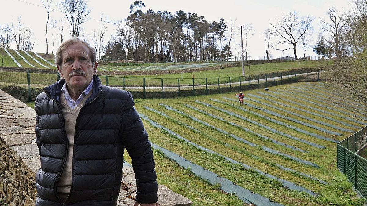 Eladio Cuiña, con su plantación de arándanos al fondo.   | // BERNABÉ/JAVIER LALÍN