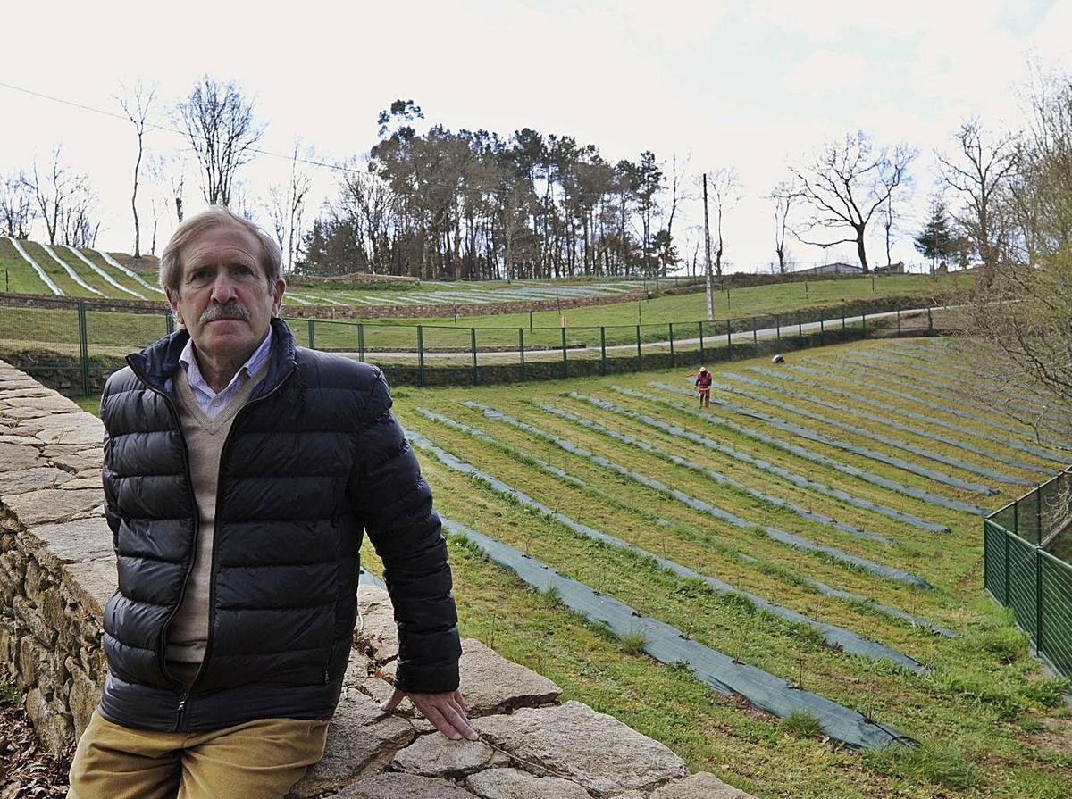 Javier Agrelo, en su plantación de Ancorados.   | // BERNABÉ/JAVIER LALÍN