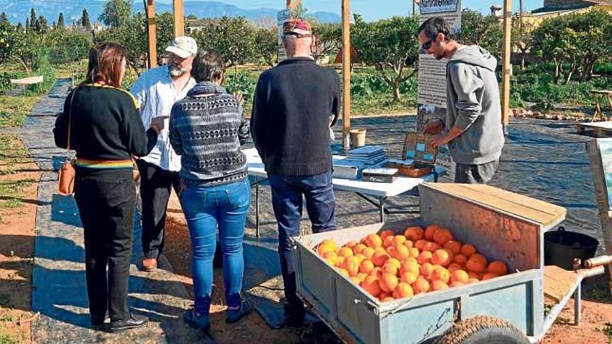 La inauguración de la Finca Son Q, en la calle Passatemps número 30, se celebró ayer.