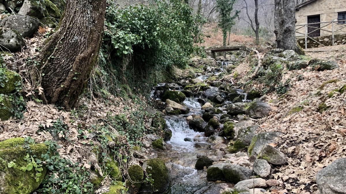 Yuste, un paraíso de la provincia cacereña.